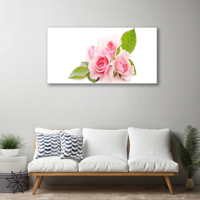 Obraz na plátně Růže Květiny Příroda