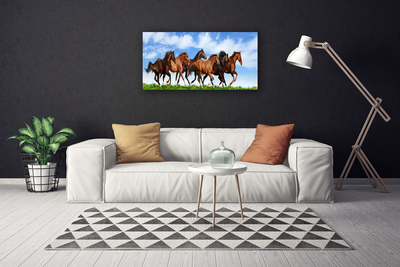 Obraz na plátně Cválající Koně na Pastvině