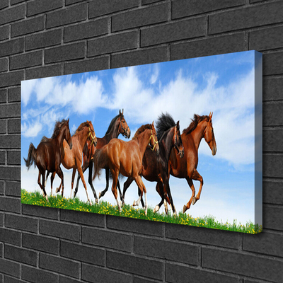 Obraz na plátně Cválající Koně na Pastvině