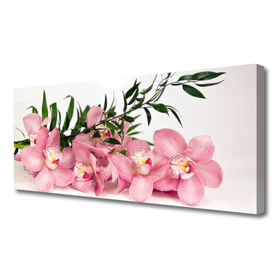 Obraz na plátně Orchidej Květiny Lázně
