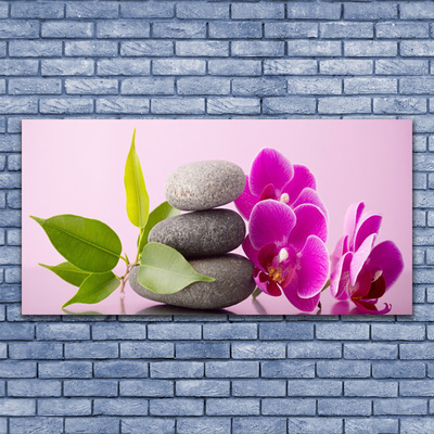 Obraz na plátně Orchidej Vstavač Kameny