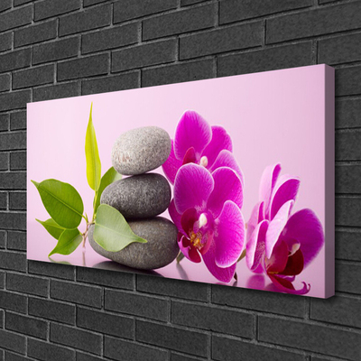 Obraz na plátně Orchidej Vstavač Kameny