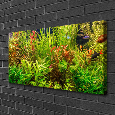 Obraz na plátně Akvárium Rybičky Rostliny