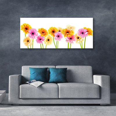 Obraz na plátně Barevné Květiny Gerbery