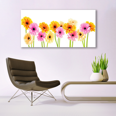 Obraz na plátně Barevné Květiny Gerbery