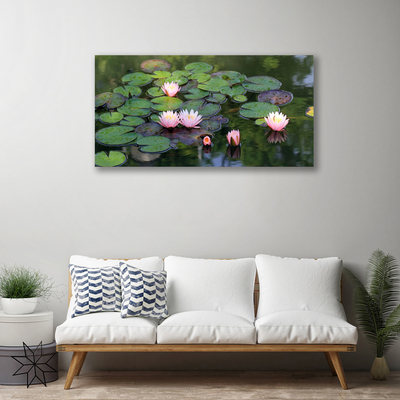 Obraz na plátně Vodní Lilie Rybník Příroda