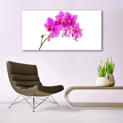 Obraz na plátně Vstavač Květ Orchidej