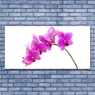 Obraz na plátně Vstavač Květ Orchidej