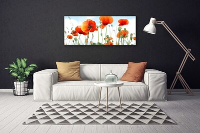 Obraz na plátně Květiny Máky Louka Pole Příroda