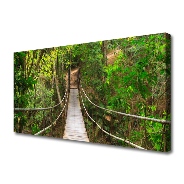 Obraz na plátně Most Džungle Tropický Les