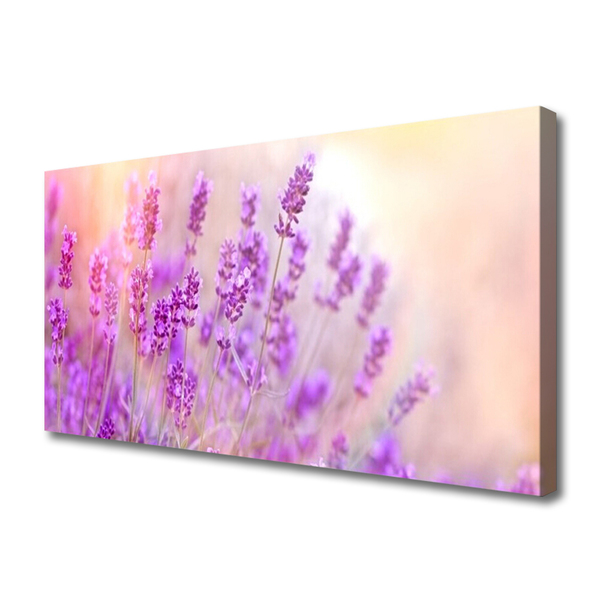 Obraz na plátně Levandulové Pole Slunce Květiny
