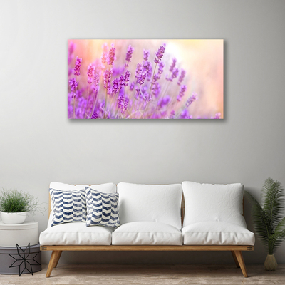 Obraz na plátně Levandulové Pole Slunce Květiny