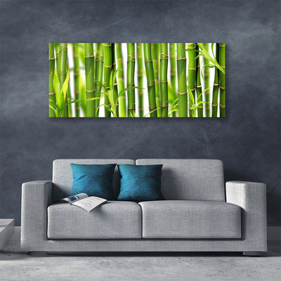 Obraz na plátně Bambusové Výhonky Listy Bambus