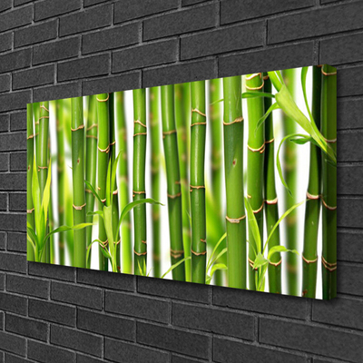 Obraz na plátně Bambusové Výhonky Listy Bambus