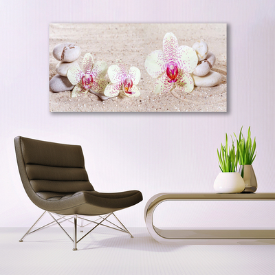 Obraz na plátně Orchidej Kameny Zen Písek
