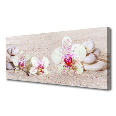 Obraz na plátně Orchidej Kameny Zen Písek