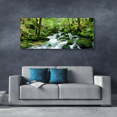Obraz na plátně Les Potok Vodopády Řeka