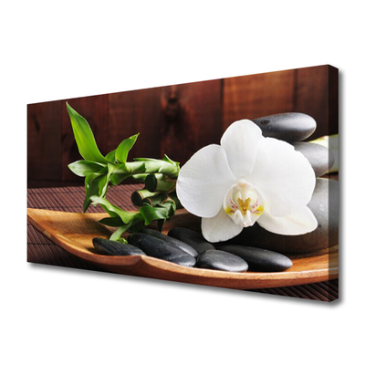 Obraz na plátně Kameny Zen Bílá Orchidej