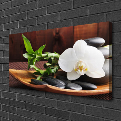 Obraz na plátně Kameny Zen Bílá Orchidej
