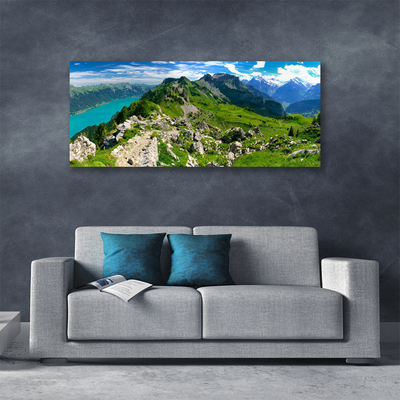 Obraz na plátně Louka Hory Krajina Příroda