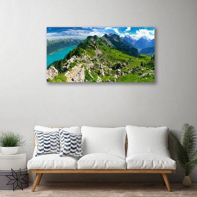 Obraz na plátně Louka Hory Krajina Příroda