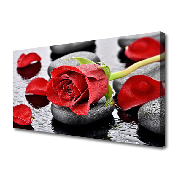 Obraz na plátně Růže Květ Kameny Zen