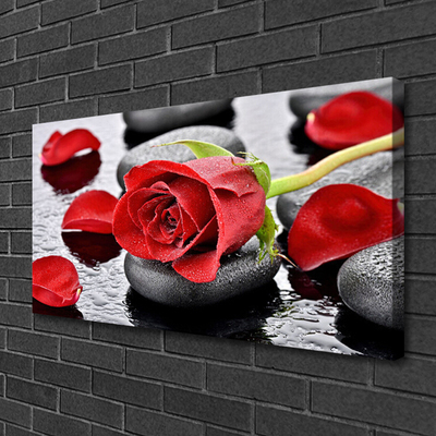 Obraz na plátně Růže Květ Kameny Zen