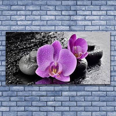 Obraz na plátně Orchidej Květiny Kameny Zen