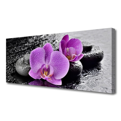 Obraz na plátně Orchidej Květiny Kameny Zen