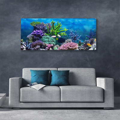 Obraz na plátně Akvárium Rybičky Pod Vodou