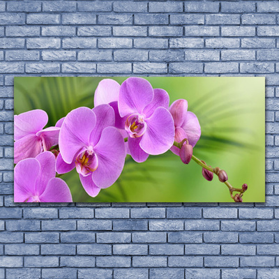 Obraz na plátně Vstavač Orchidej Květiny