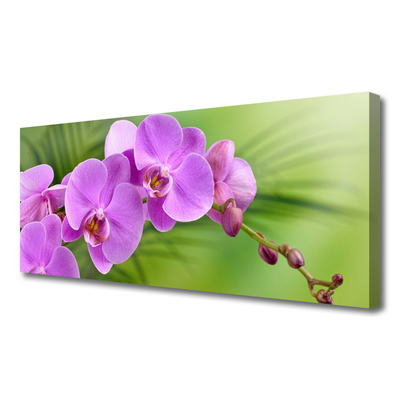 Obraz na plátně Vstavač Orchidej Květiny