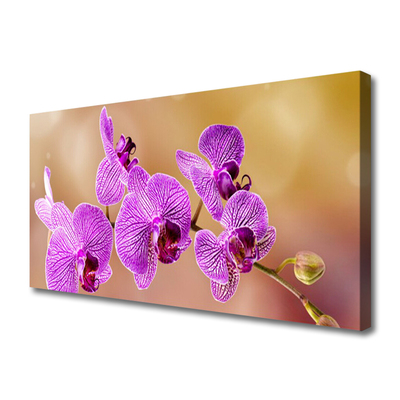 Obraz na plátně Orchidej Výhonky Květiny Příroda