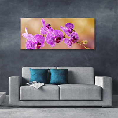 Obraz na plátně Orchidej Výhonky Květiny Příroda
