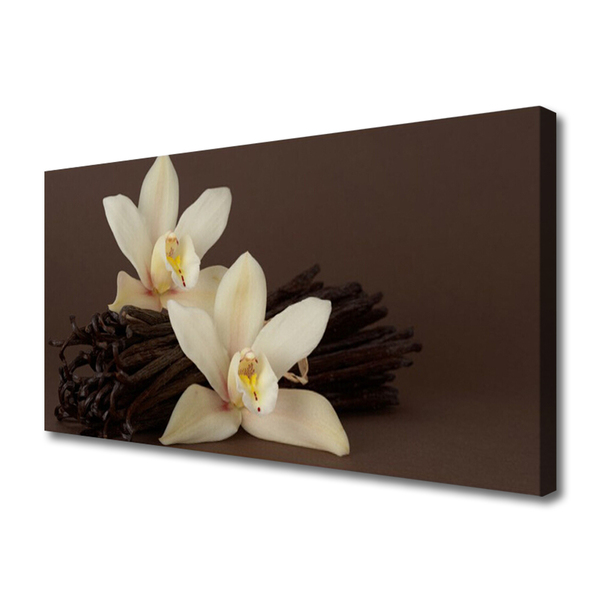 Obraz na plátně Květy Vanilky do Kuchyně