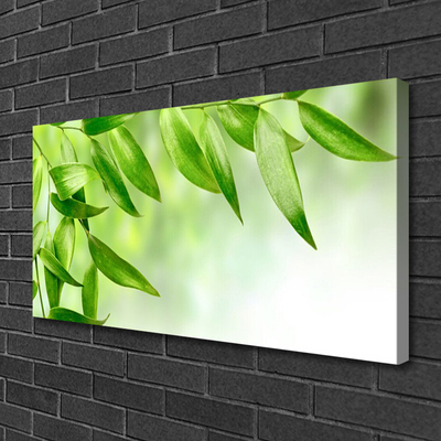 Obraz na plátně Zelené Listy Příroda