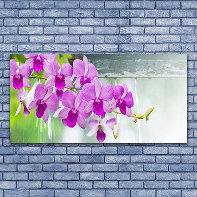 Obraz na plátně Orchideje Kapky Příroda