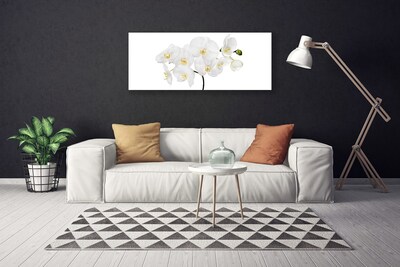 Obraz na plátně Bílá Orchidej Květiny
