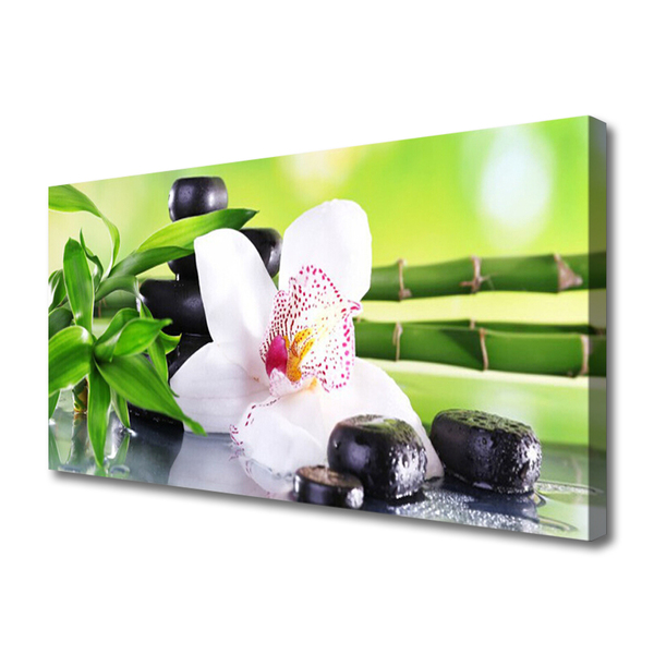 Obraz na plátně Orchidej Kameny Zen Bambus