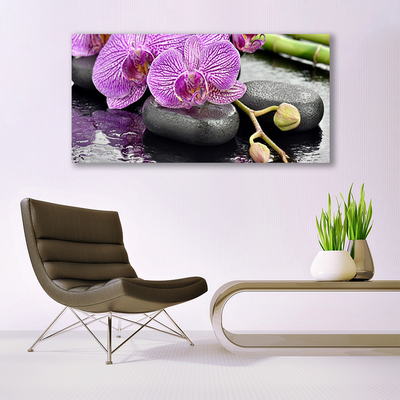 Obraz na plátně Kameny Zen Orchidej Lázně