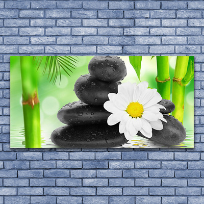 Obraz na plátně Bambus Kameny Zen Květ