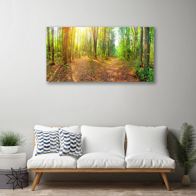 Obraz na plátně Slunce Příroda Lesní Stezka