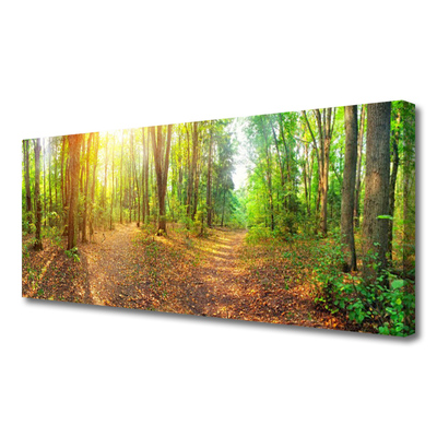 Obraz na plátně Slunce Příroda Lesní Stezka