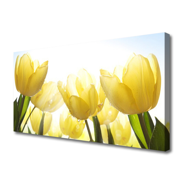 Obraz na plátně Tulipány Květiny Paprsky