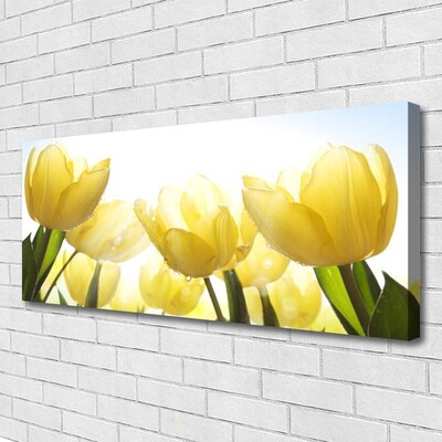 Obraz na plátně Tulipány Květiny Paprsky