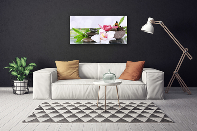 Obraz na plátně Orchidej Kameny Bambus