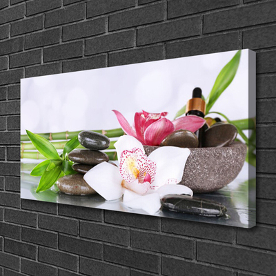 Obraz na plátně Orchidej Kameny Bambus