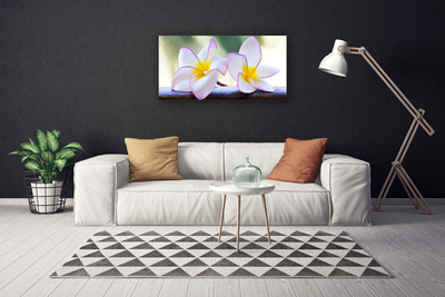 Obraz na plátně Květiny Plátky Plumérie