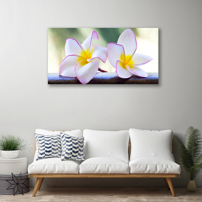 Obraz na plátně Květiny Plátky Plumérie