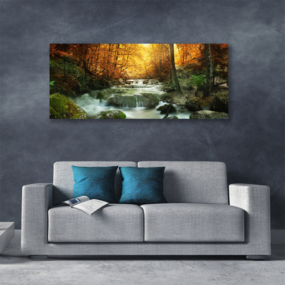Obraz na plátně Vodopád Příroda Les Podzim